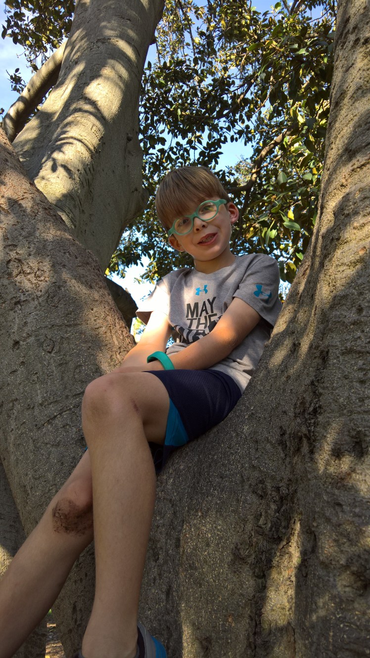 wp_20161020_17_35_02_pro