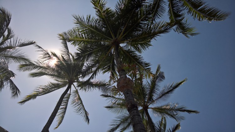 wp_20161113_13_14_56_pro